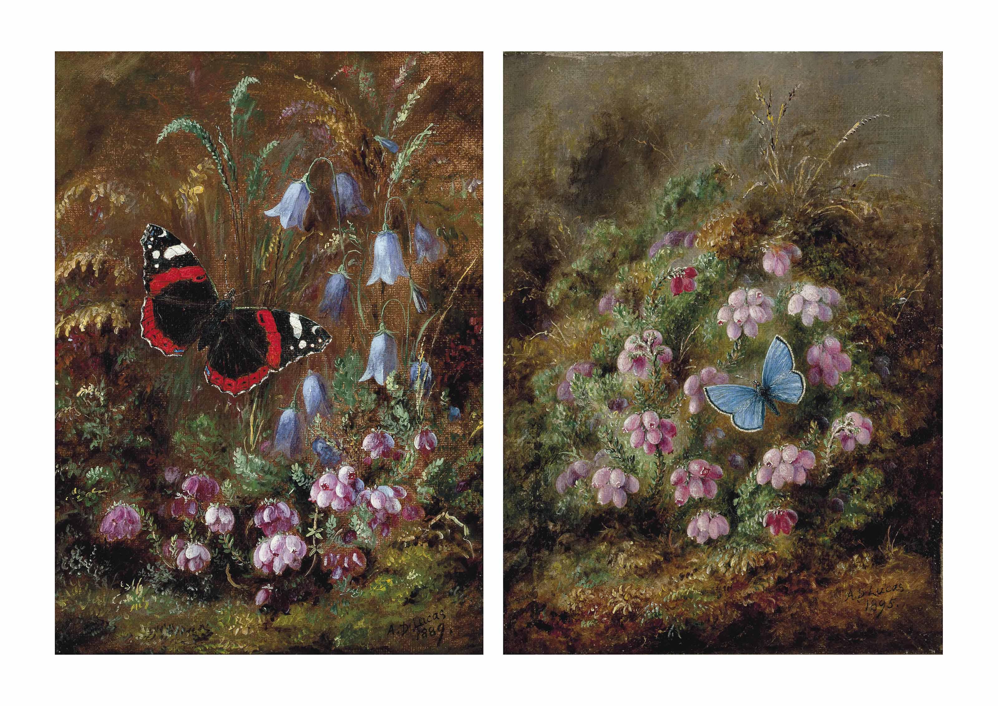 Albert Durer Lucas - A red admiral butterfly among hairbells; and A silver studded blue butterfly amongst heather