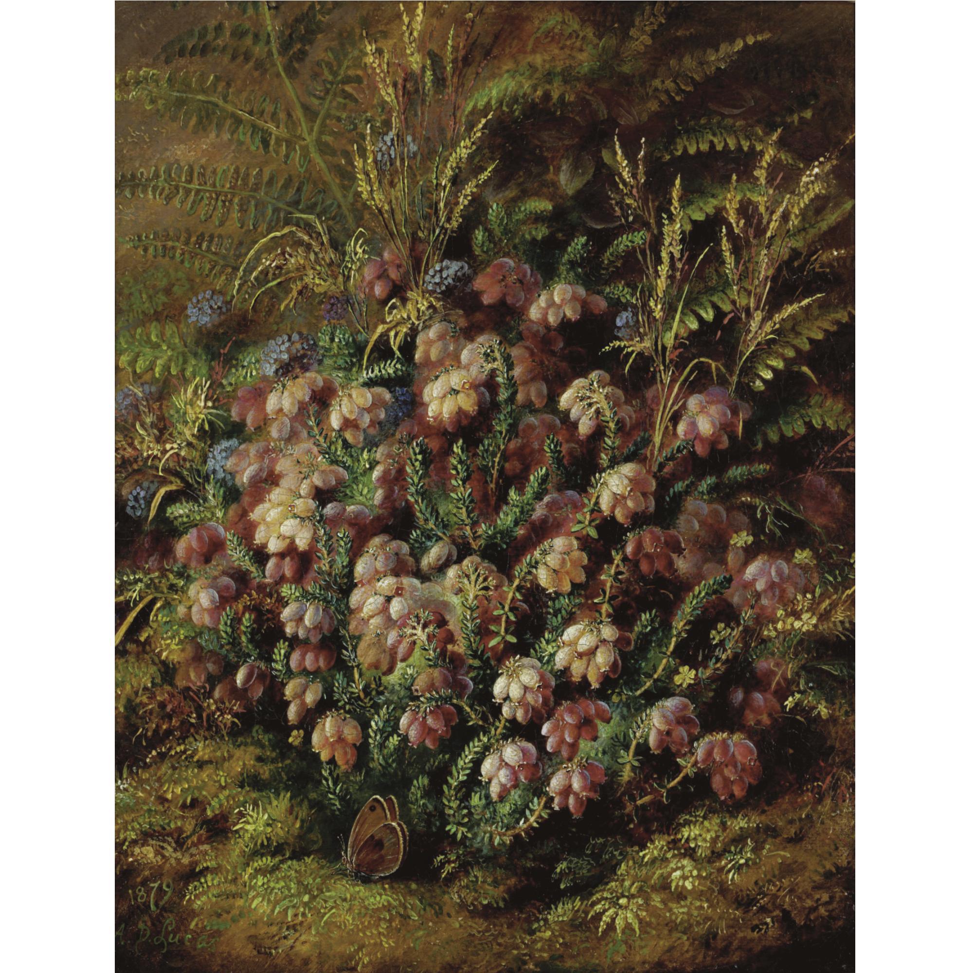 Albert Durer Lucas - Butterfly In The Heather