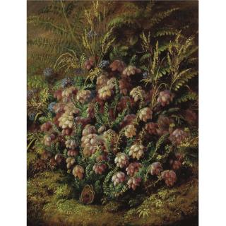 Albert Durer Lucas - Butterfly In The Heather