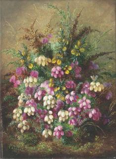 Albert Durer Lucas - Wild Flowers