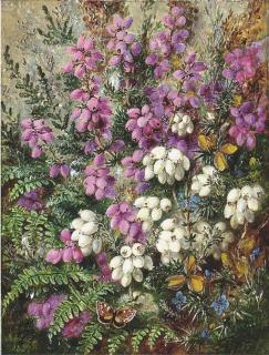Albert Durer Lucas - Wild Heath