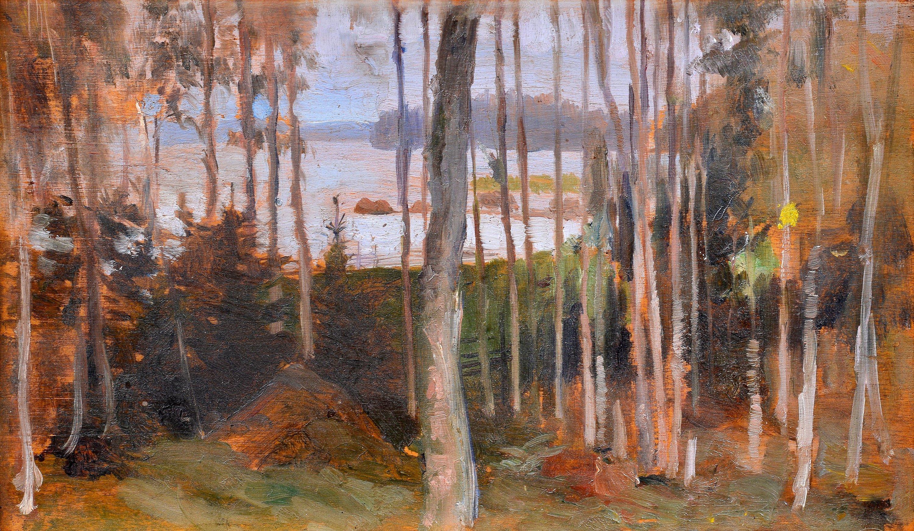 Albert Edelfelt - Birches, Haiko.