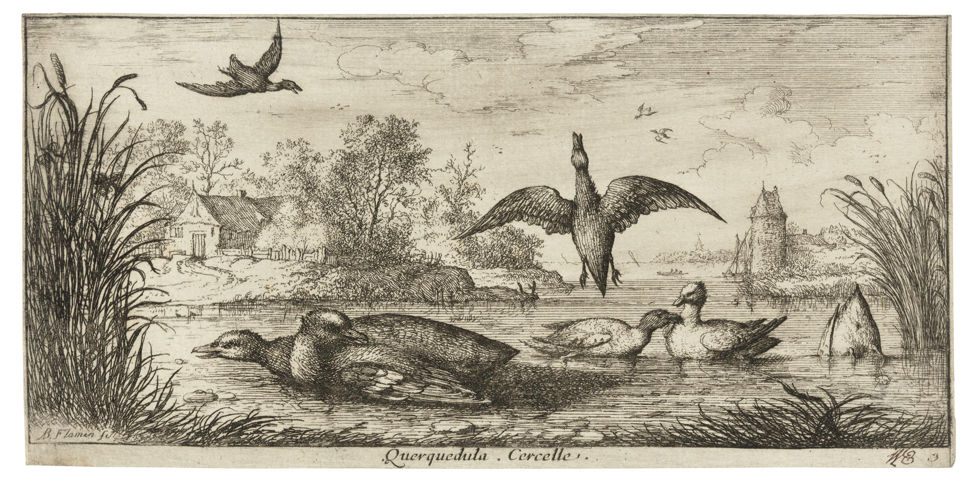 Albert Flamen - Livre d\'Oiseaux (A Book of Birds)