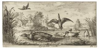 Albert Flamen - Livre d\'Oiseaux (A Book of Birds)