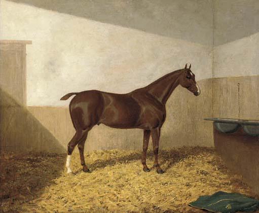 Albert H. Clark - A dark brown hunter in a stable