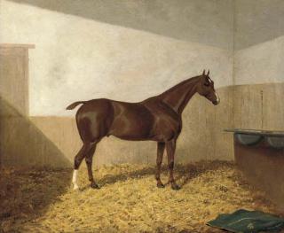 Albert H. Clark - A dark brown hunter in a stable