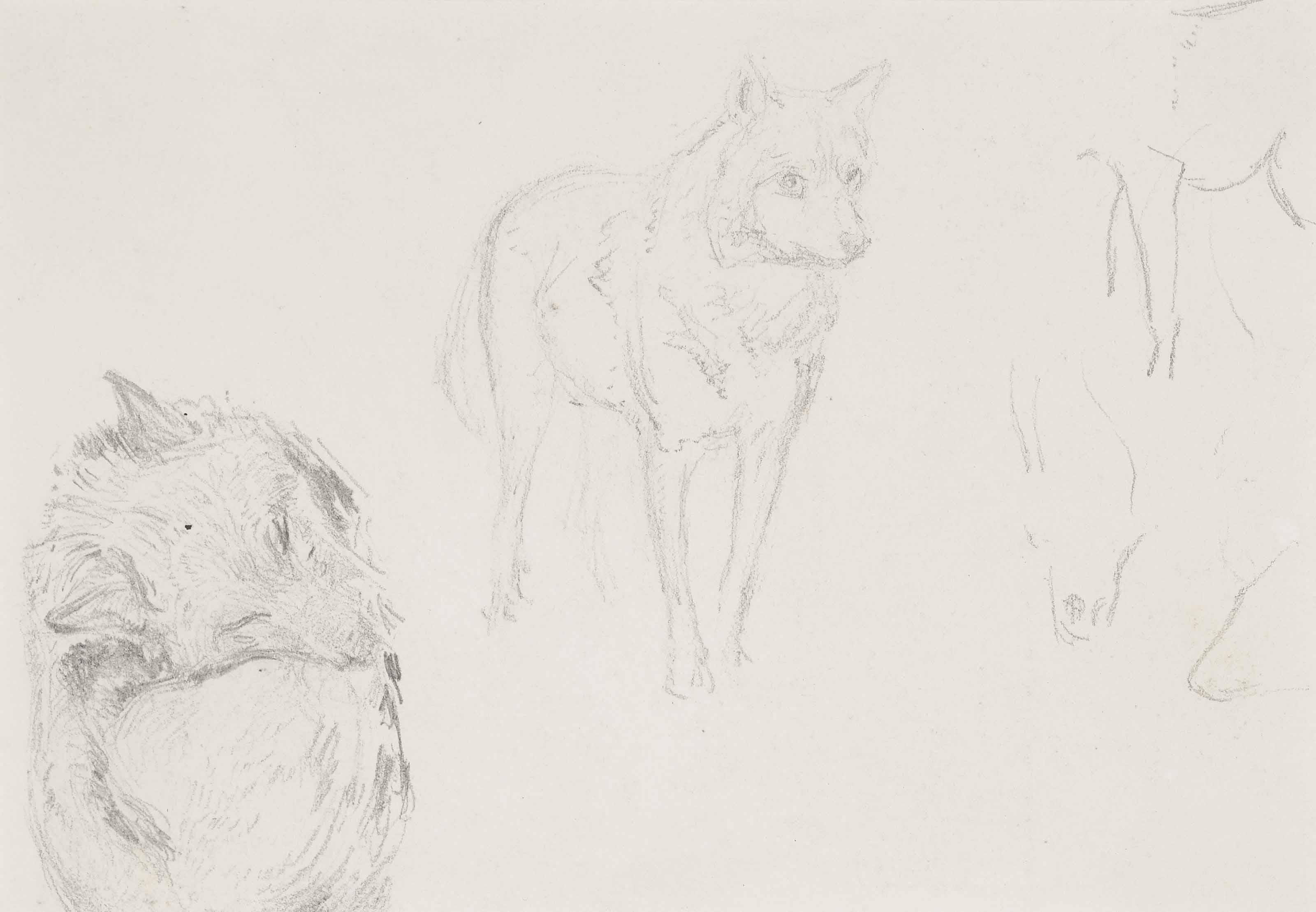Albert Joseph Moore, R.W.S. - Study of wolves