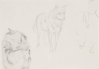 Albert Joseph Moore, R.W.S. - Study of wolves
