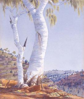 Albert Namatjira - Ghost Gum Tree