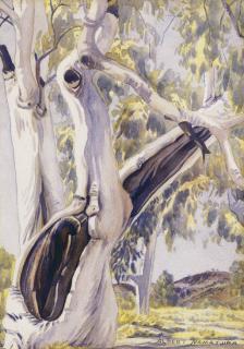 Albert Namatjira - Ghost Gums