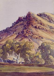 Albert Namatjira - Gums at McDonnell Ranges