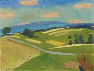 Albert Pfister - Zürichsee-Landschaft