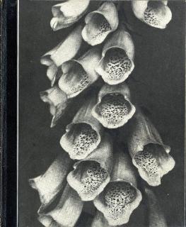 Albert Renger-Patzsch - 100 Renger Fotos