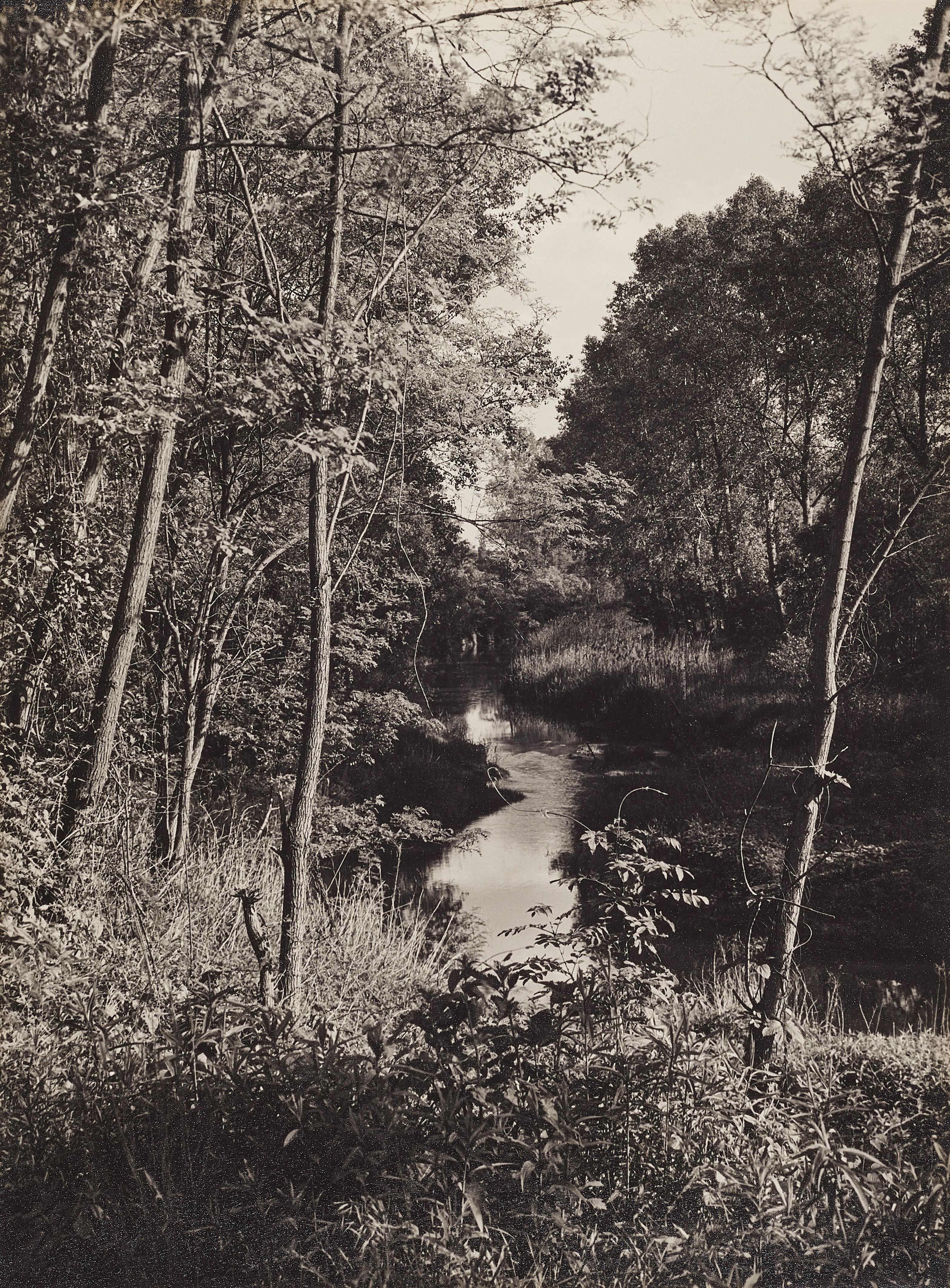 Albert Renger-Patzsch - Altrheinlandschaft