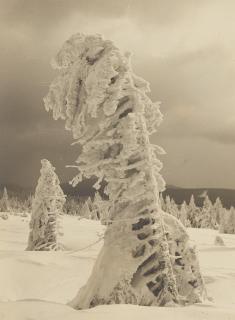 Albert Renger-Patzsch - Aufziehender Schneesturm