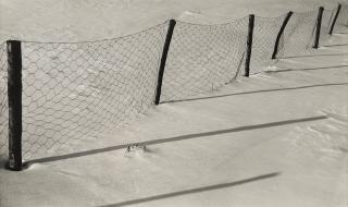 Albert Renger-Patzsch - Das Zäunchen (Little fence)