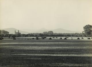 Albert Renger-Patzsch - Elsässische Landschaft