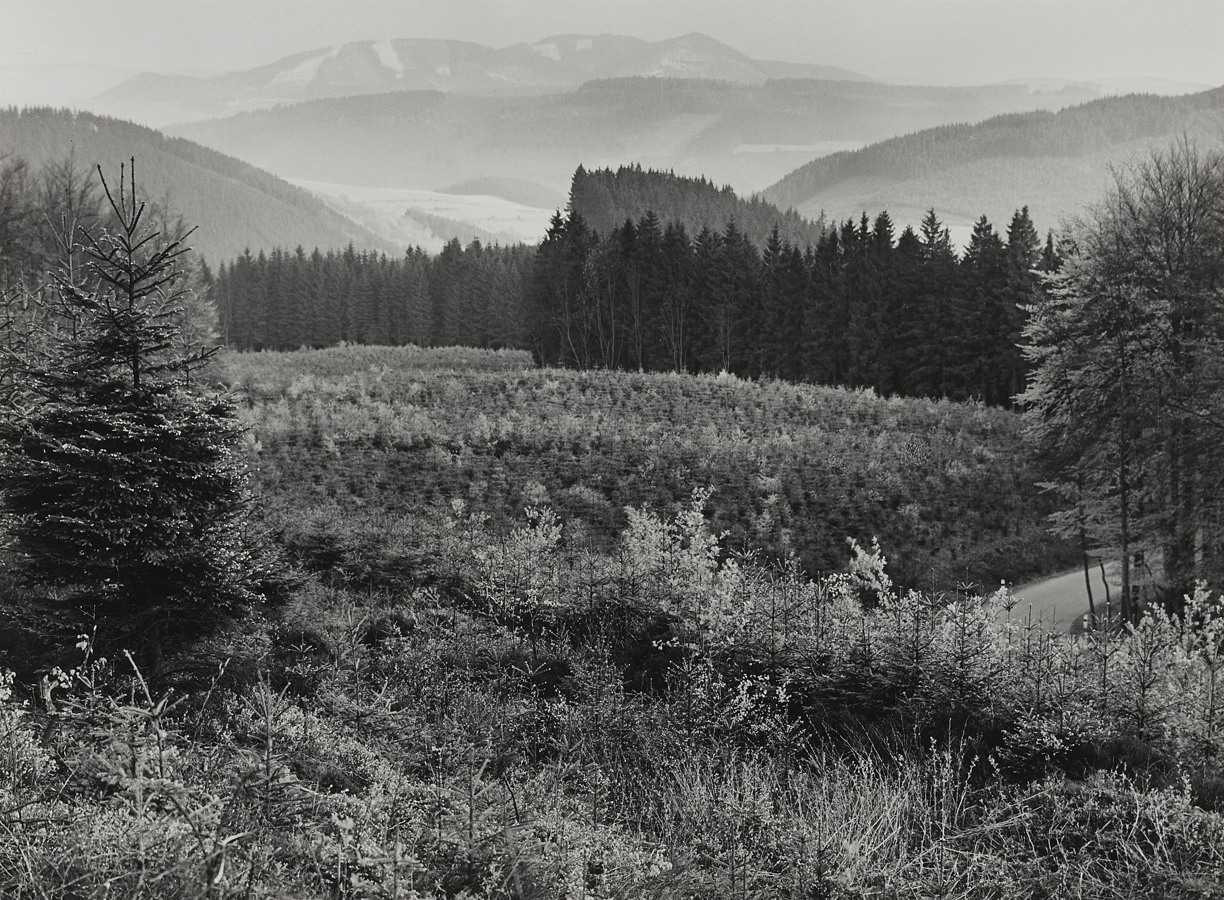 Albert Renger-Patzsch - Hochsauerland