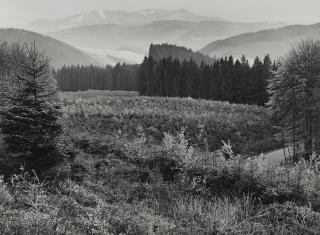 Albert Renger-Patzsch - Hochsauerland