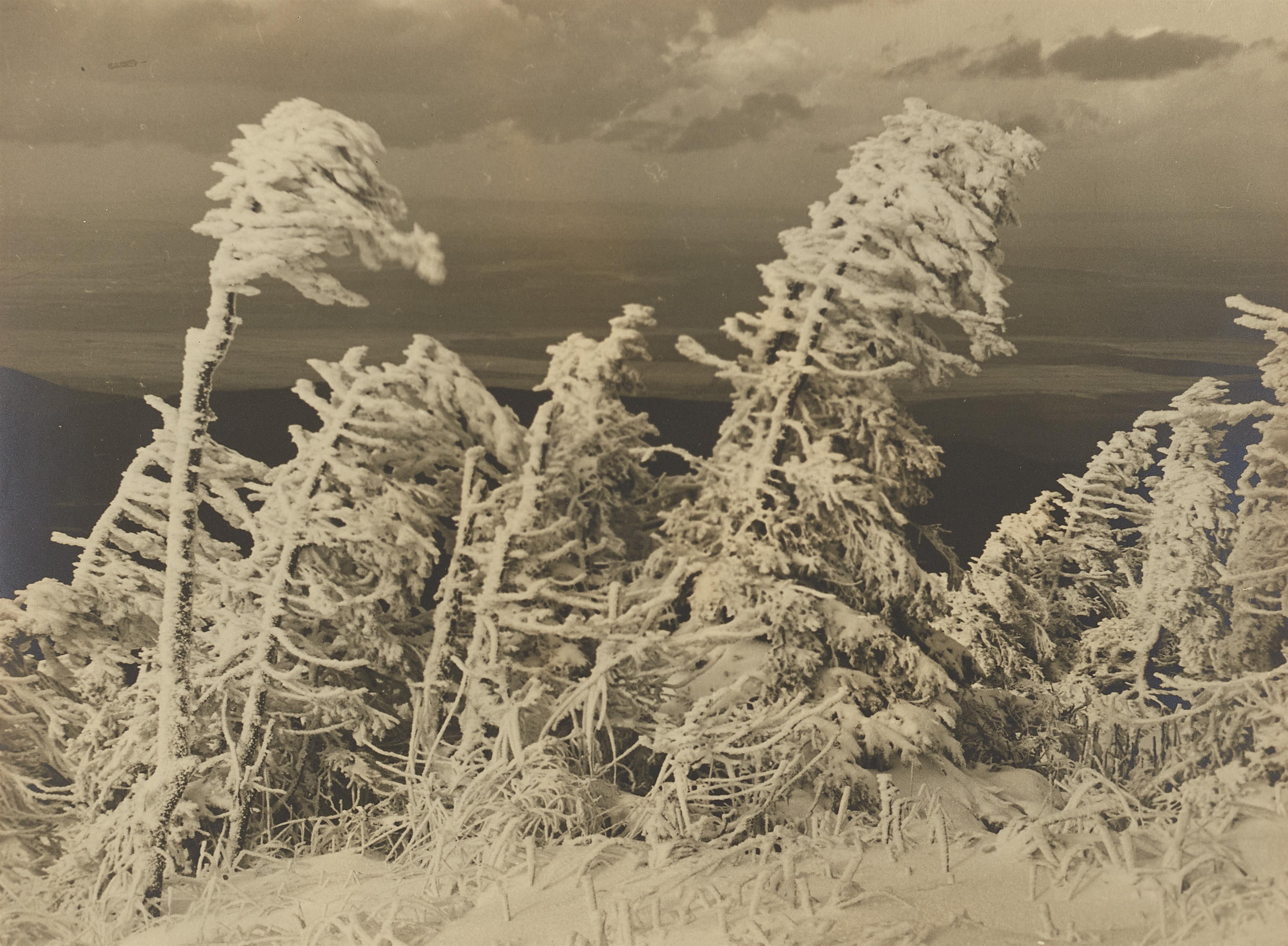 Albert Renger-Patzsch - Oktoberrauhreif am Brocken