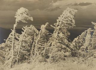 Albert Renger-Patzsch - Oktoberrauhreif am Brocken