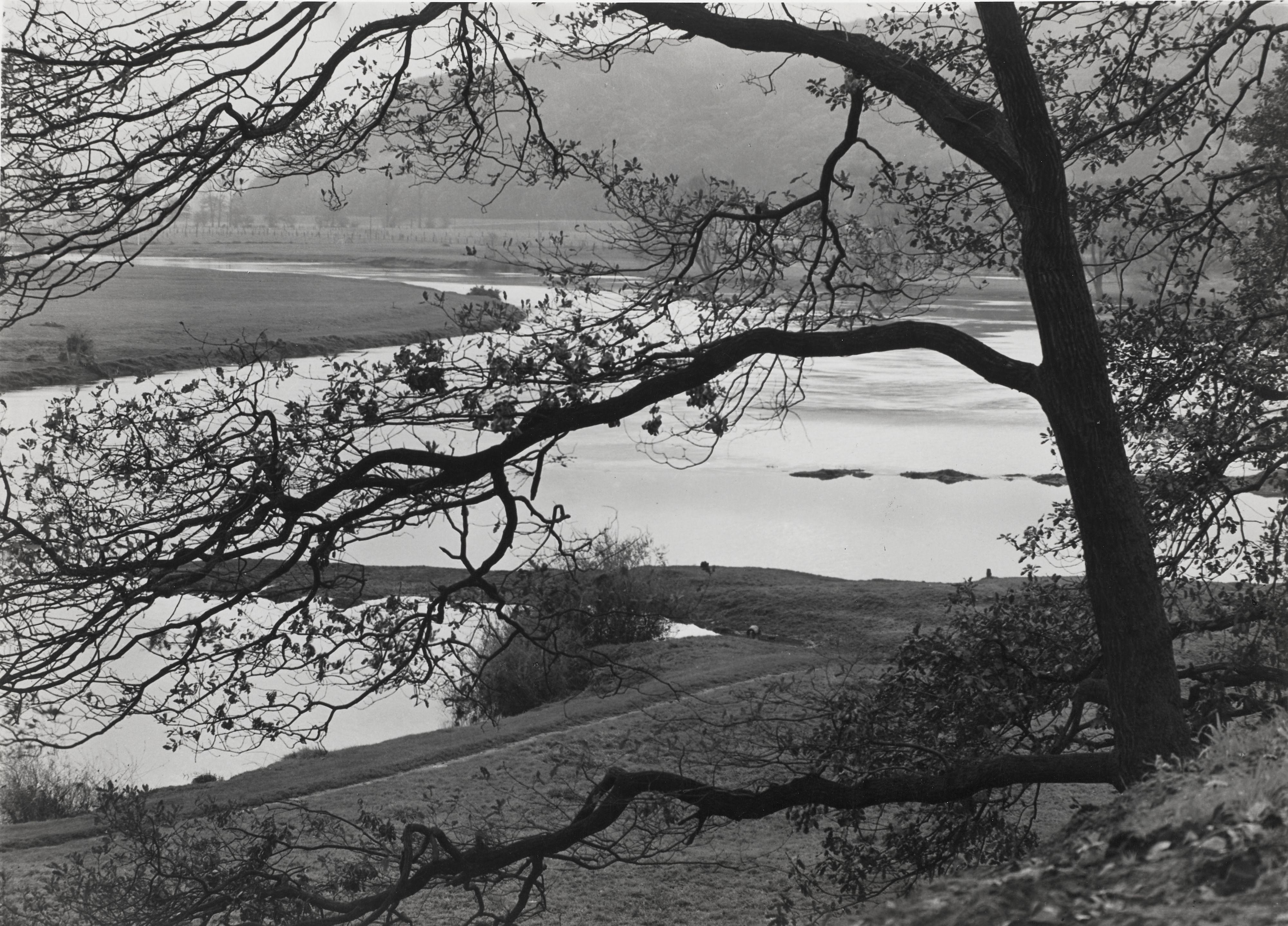 Albert Renger-Patzsch - Ruhrlandschaft bei Essen