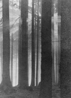 Albert Renger-Patzsch - Sonnenstrahlen