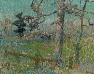 Albert Saverys - Trees in a field