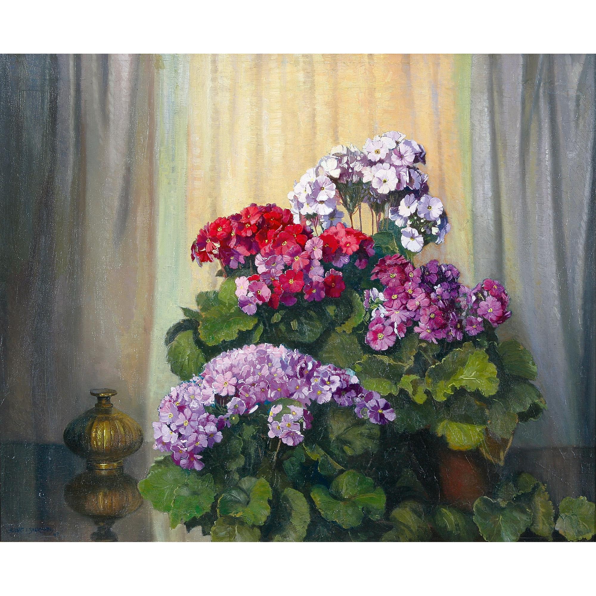 Albert Sherman - Australian Primulas