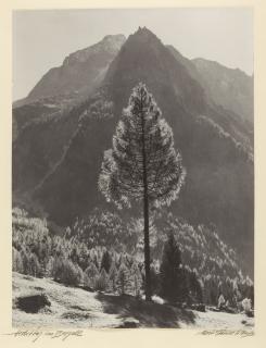 Albert Steiner - „Herbsttag im Bergell“.