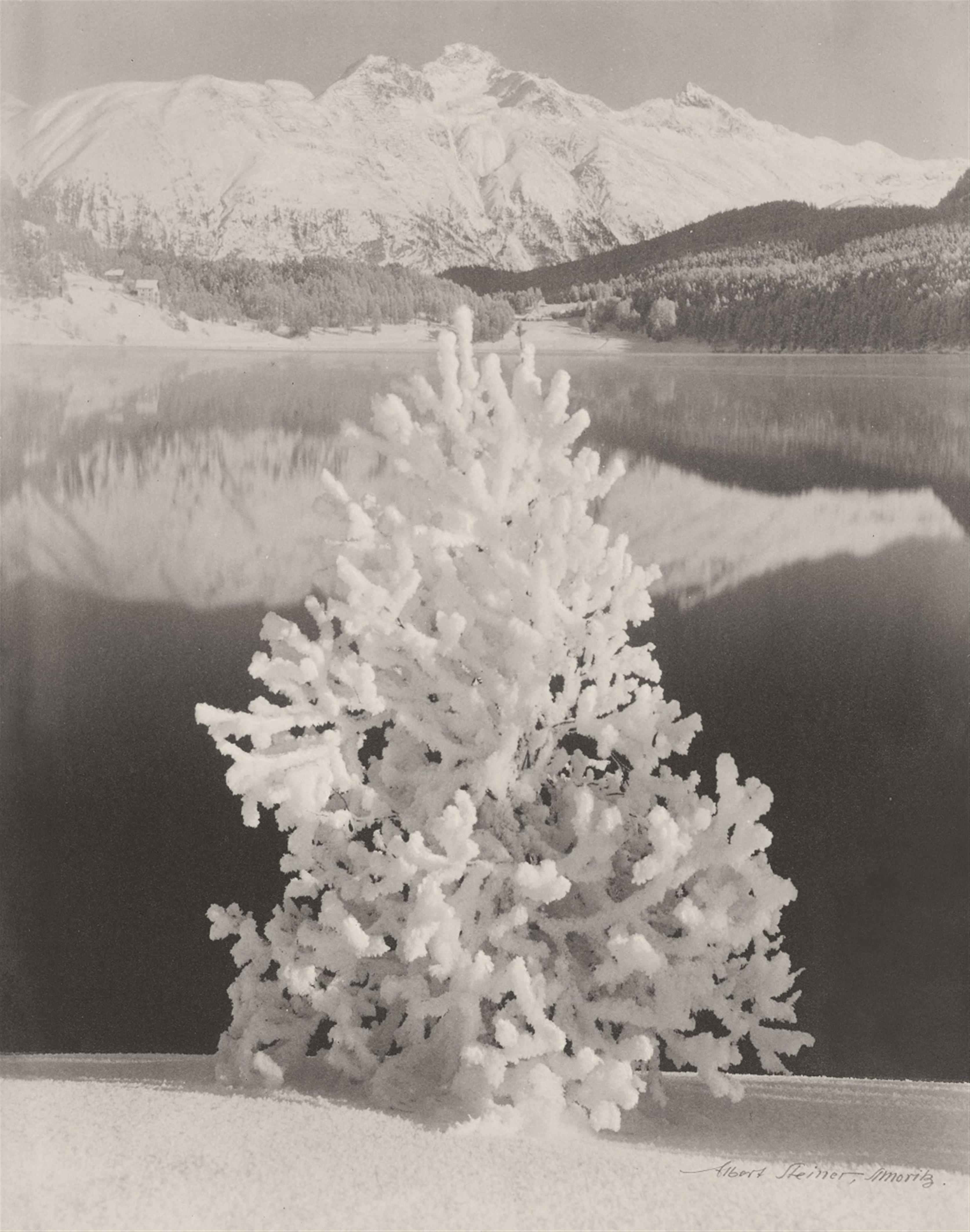 Albert Steiner - Novembertag am St. Moritzersee