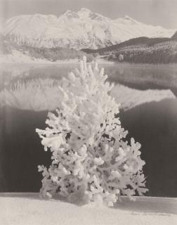 Albert Steiner - Novembertag am St. Moritzersee