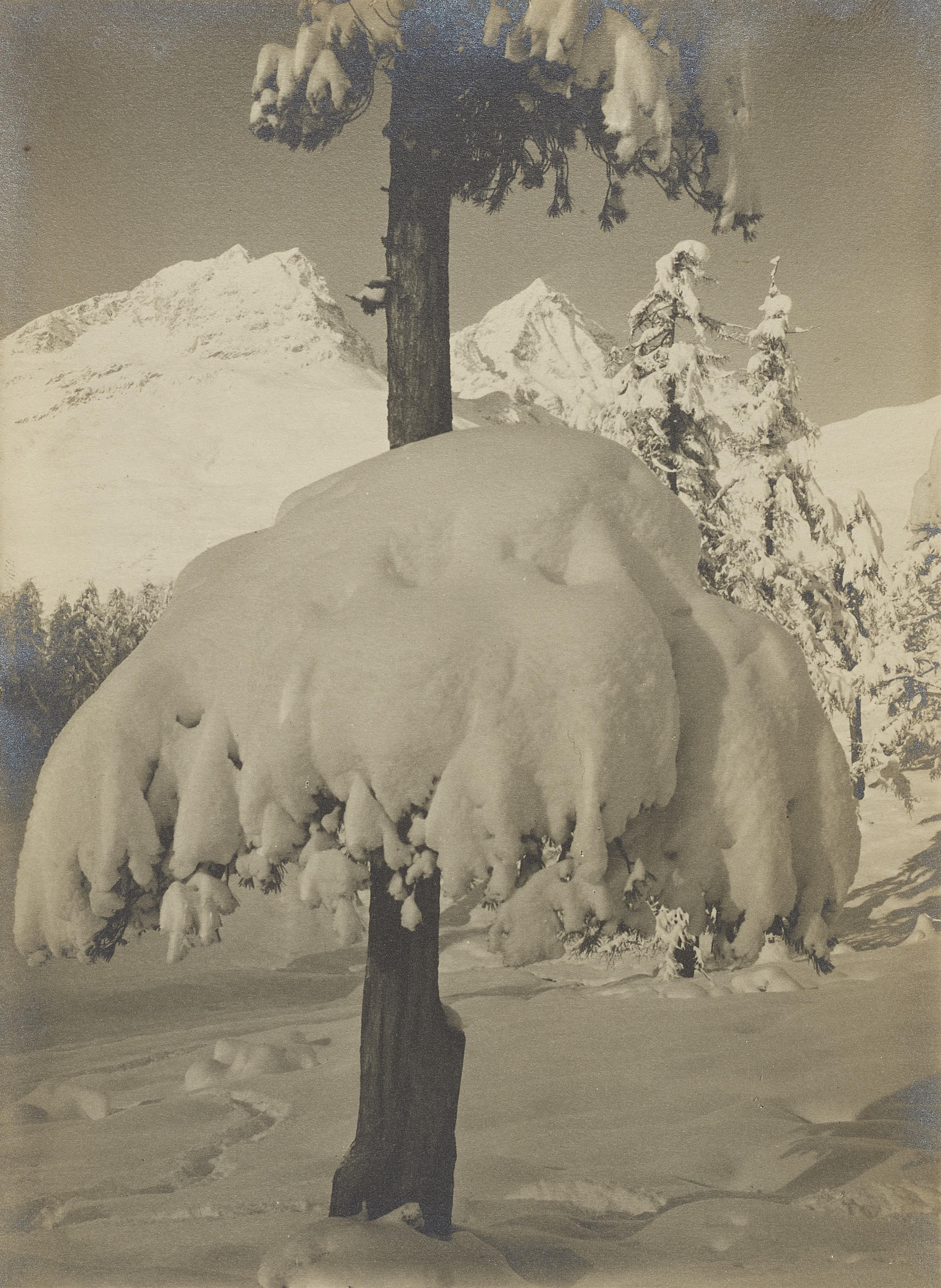 Albert Steiner - Winter bei Suvretta, St. Moritz