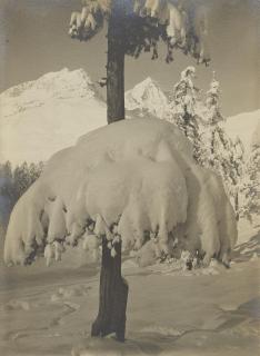 Albert Steiner - Winter bei Suvretta, St. Moritz