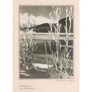 Albert Steiner - Winterzauber Am St. Moritzersee Winterwonderland At Lake St. Moritz
