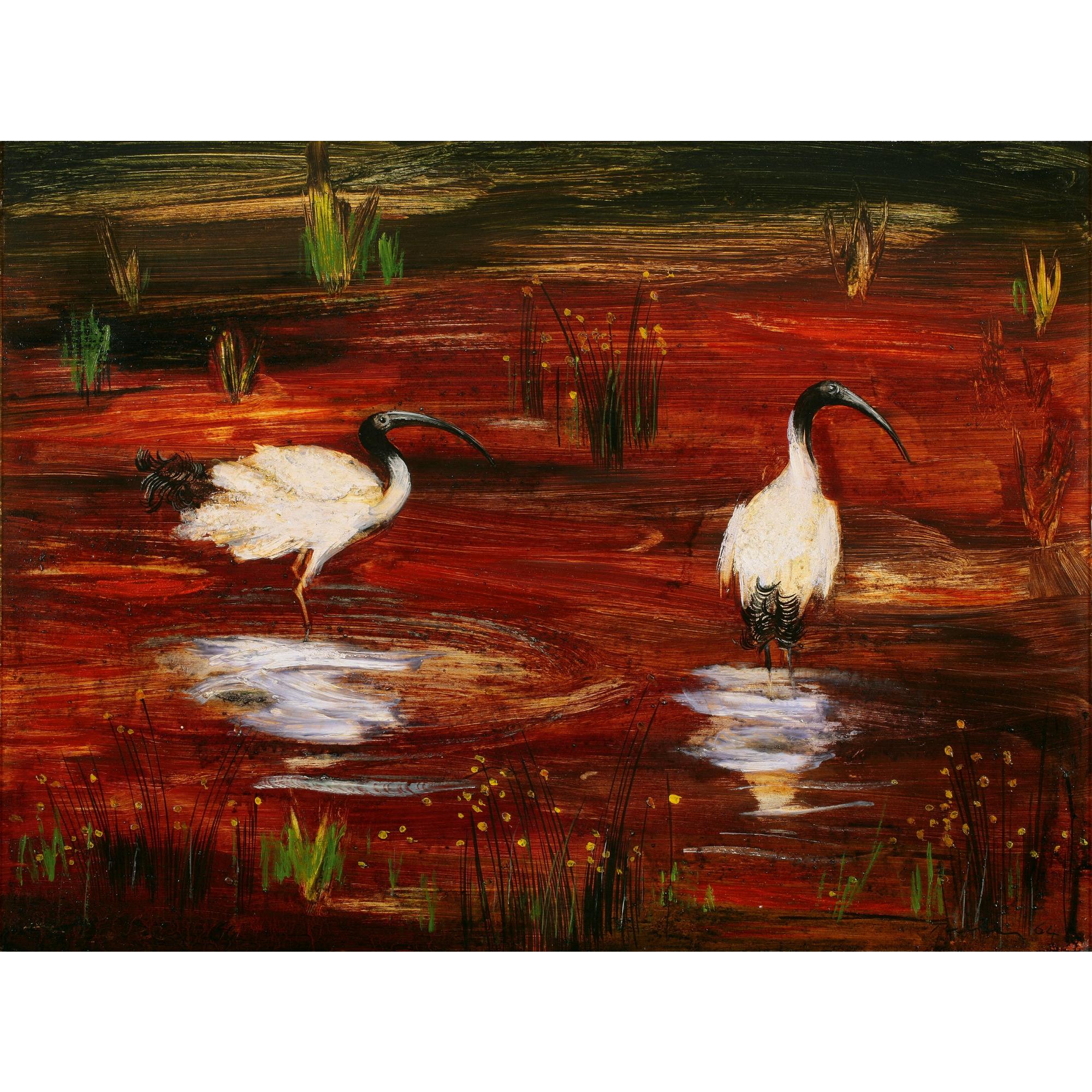 Albert Tucker - Australian Ibises
