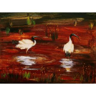Albert Tucker - Australian Ibises