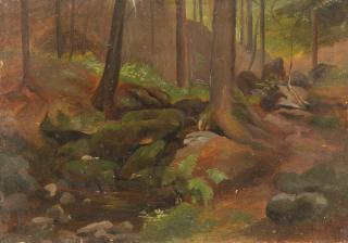 Albert Venus - Waldstück mit Quelle.