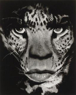 Albert Watson - Mick Jagger, Los Angeles, June 14, 1992