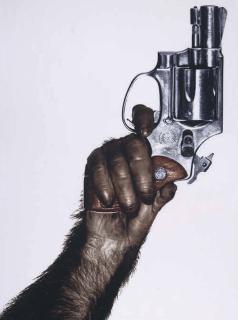 Albert Watson - Monkey With Gun, New York City, 1992