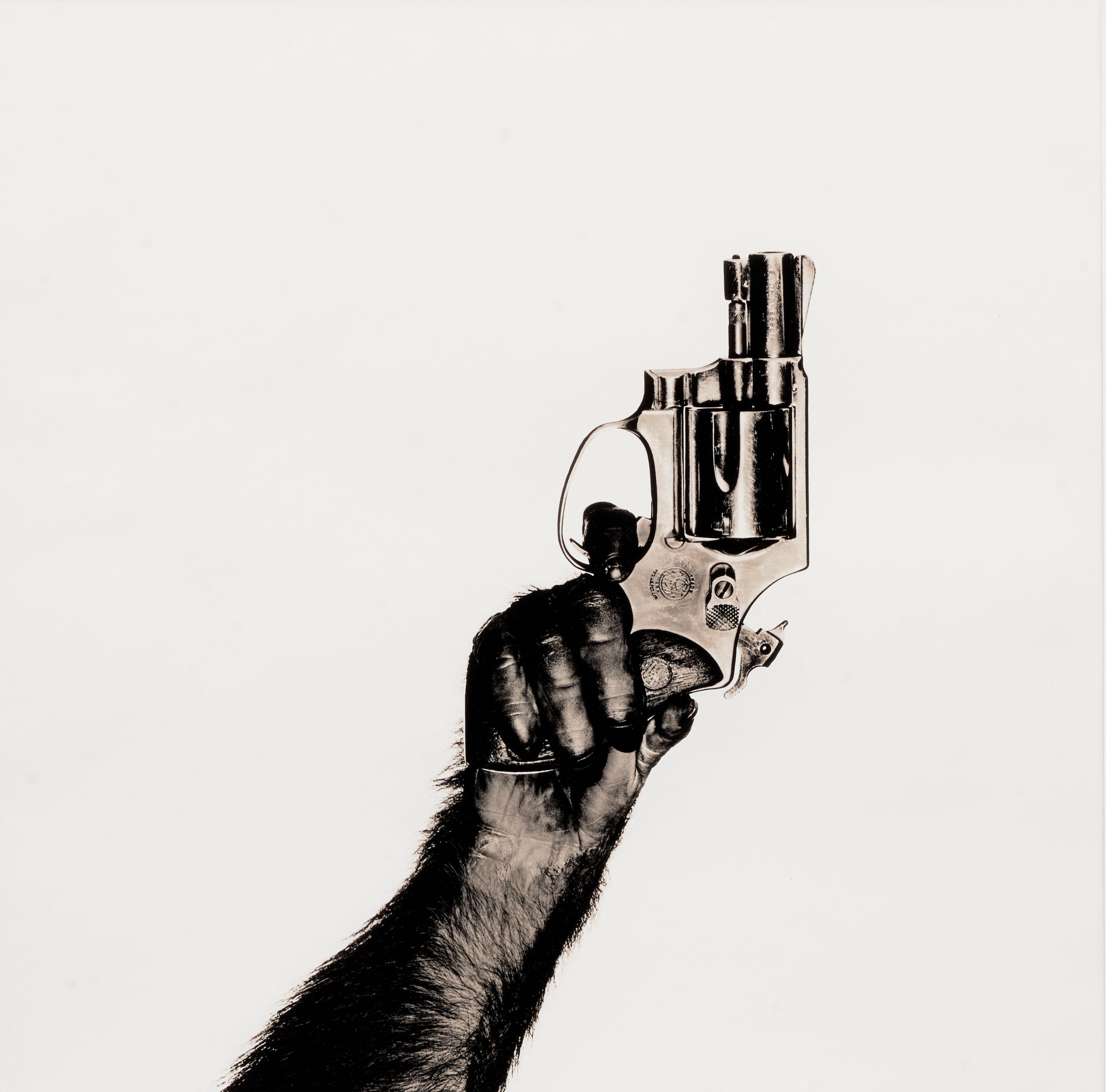 Albert Watson - \'Monkey with Gun\' (New York City)
