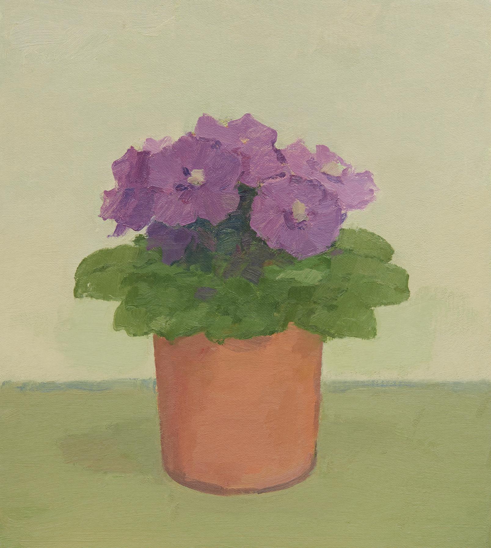 Albert York - Plant With Purple Flowers In A Terracotta Pot