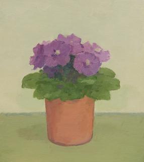 Albert York - Plant With Purple Flowers In A Terracotta Pot