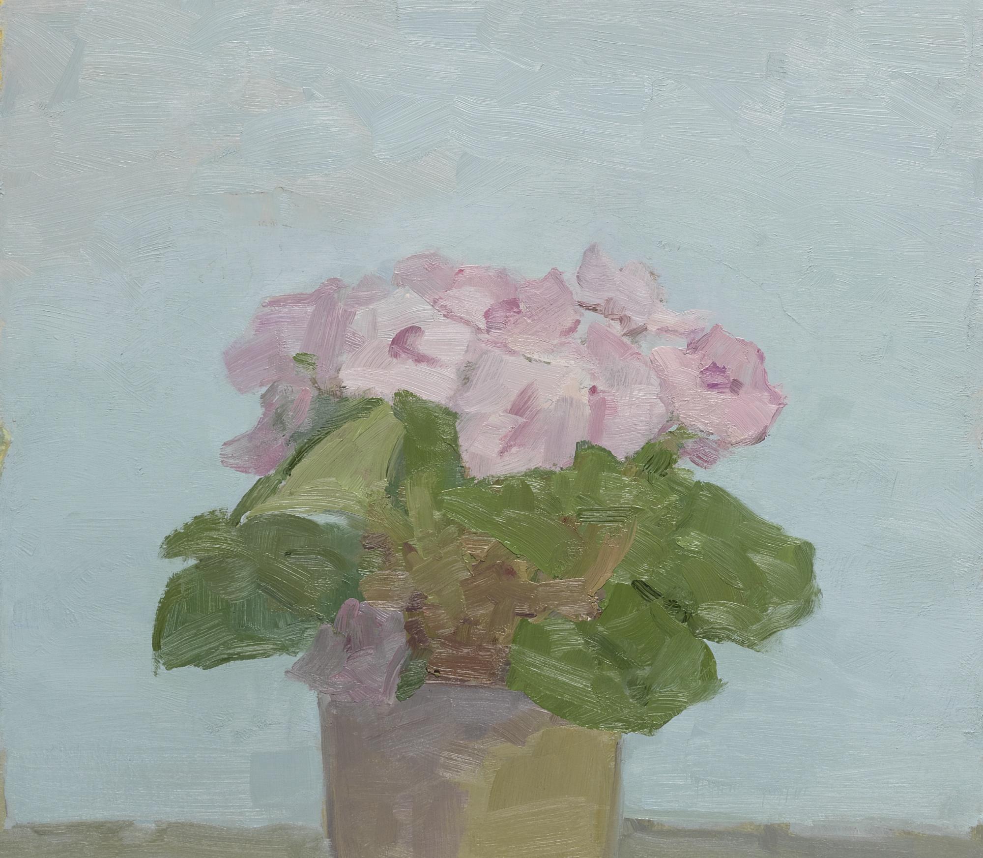 Albert York - Potted Plant With Pink Flowers