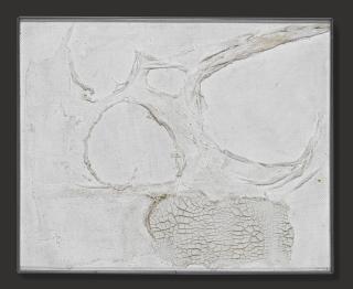 Alberto Burri - Biancosigned, Inscribed Buon Anno And Dated Roma 1960 On The Reverse, Oil And Cotton On Canvas