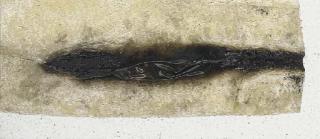 Alberto Burri - Combustione plastica L.A.