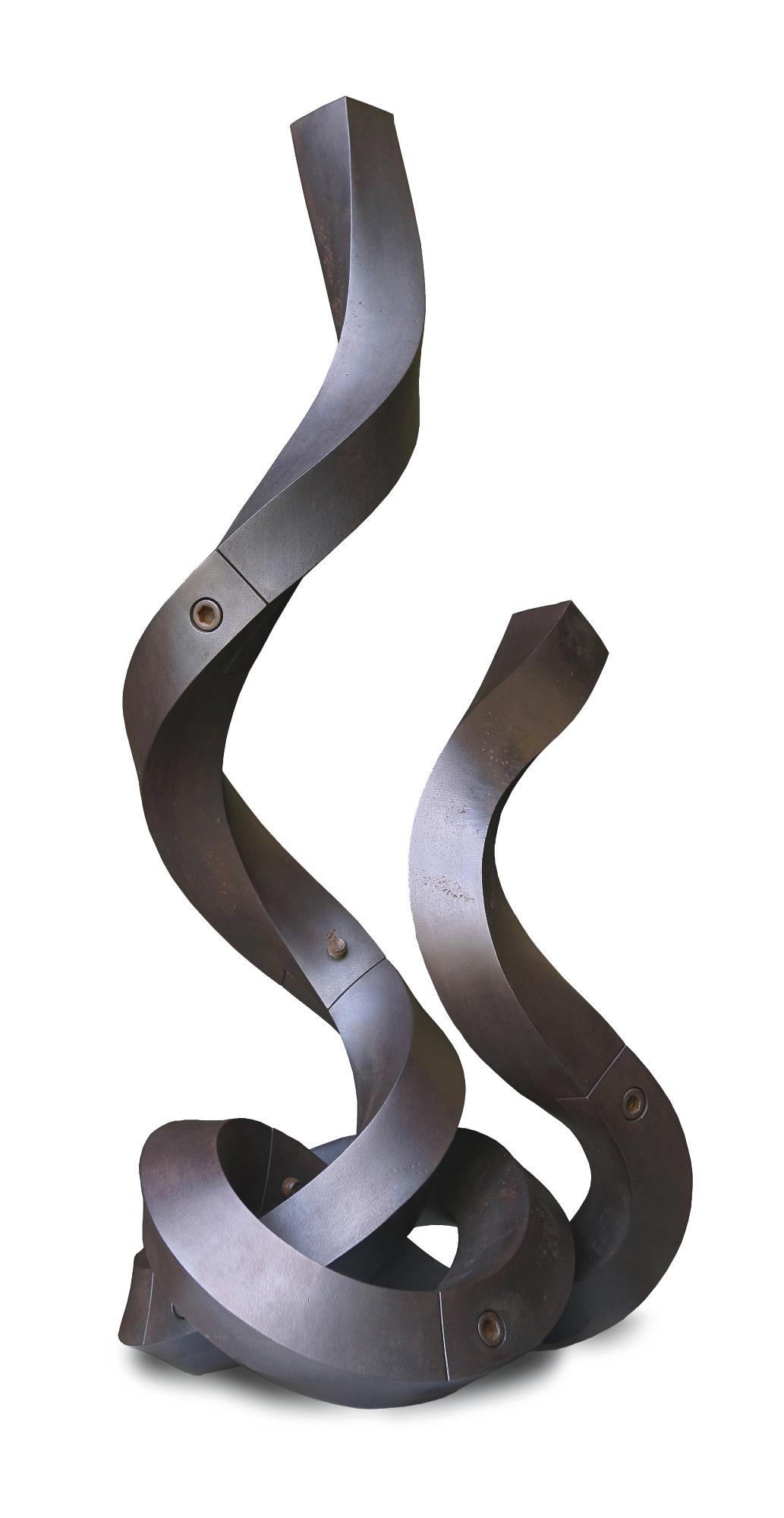 Alberto Cavalieri - Ignea Parvus