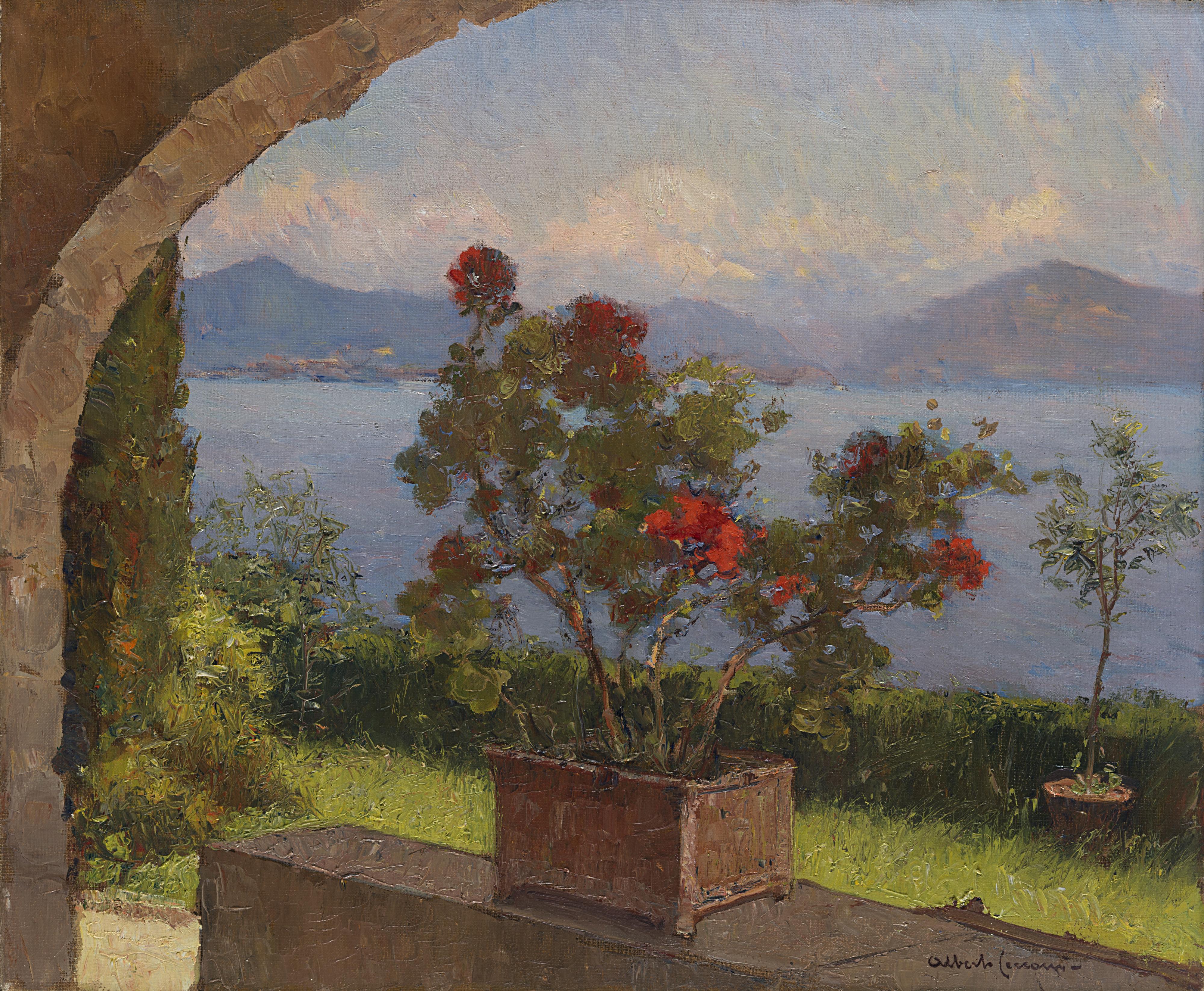 Alberto Cecconi - Geraneo in fiore da una Villa di Laveno. Lago Maggiore