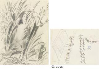 Alberto Giacometti - Vogel im Gebüsch, um 1911  rückseitig: Militärische Übung