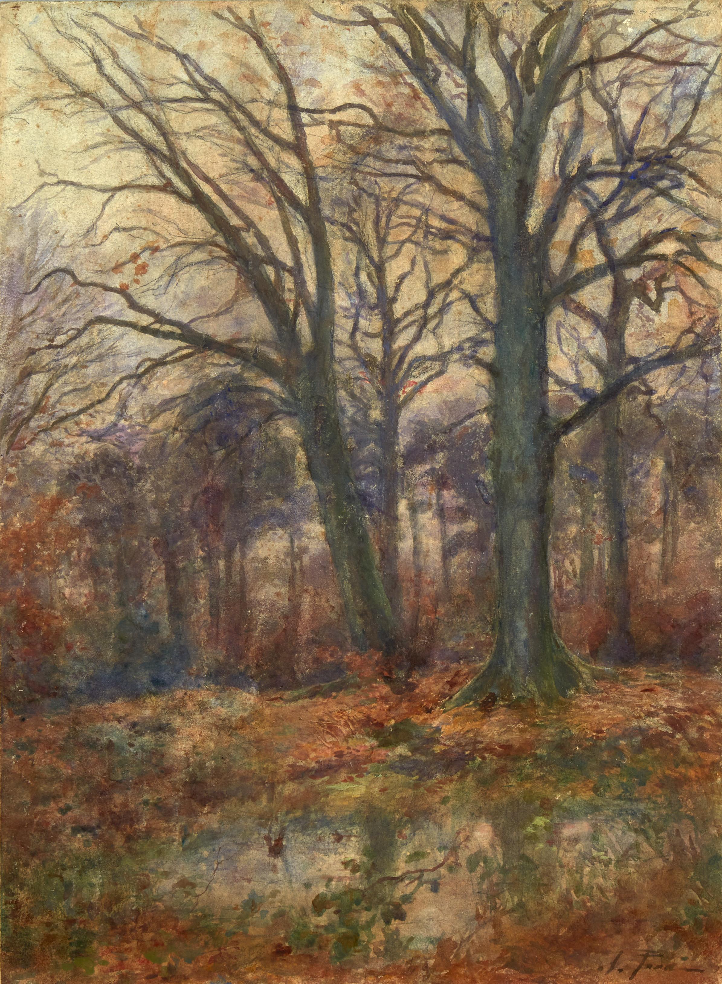 Alberto Pisa - Tramonto sul bosco